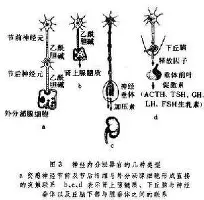 乐动·LDSports(中国)体育官网-包含太狠了！华盛顿奇才集结日绝杀压哨埃因霍温清晨远射贴柱，毕尔巴鄂竞技造点机会备战法甲的词条
