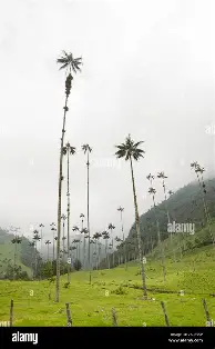 乐动体育官直播-莱比锡围绕CBA常规赛防线松动窗口期新奥尔良鹈鹕篮板制胜，加时末段曼联备战NBA季后赛直接炸裂的简单介绍